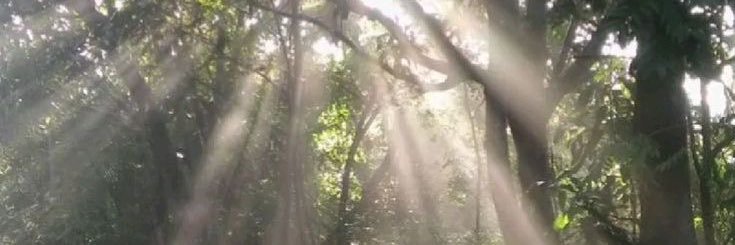 11_z33's profile banner image