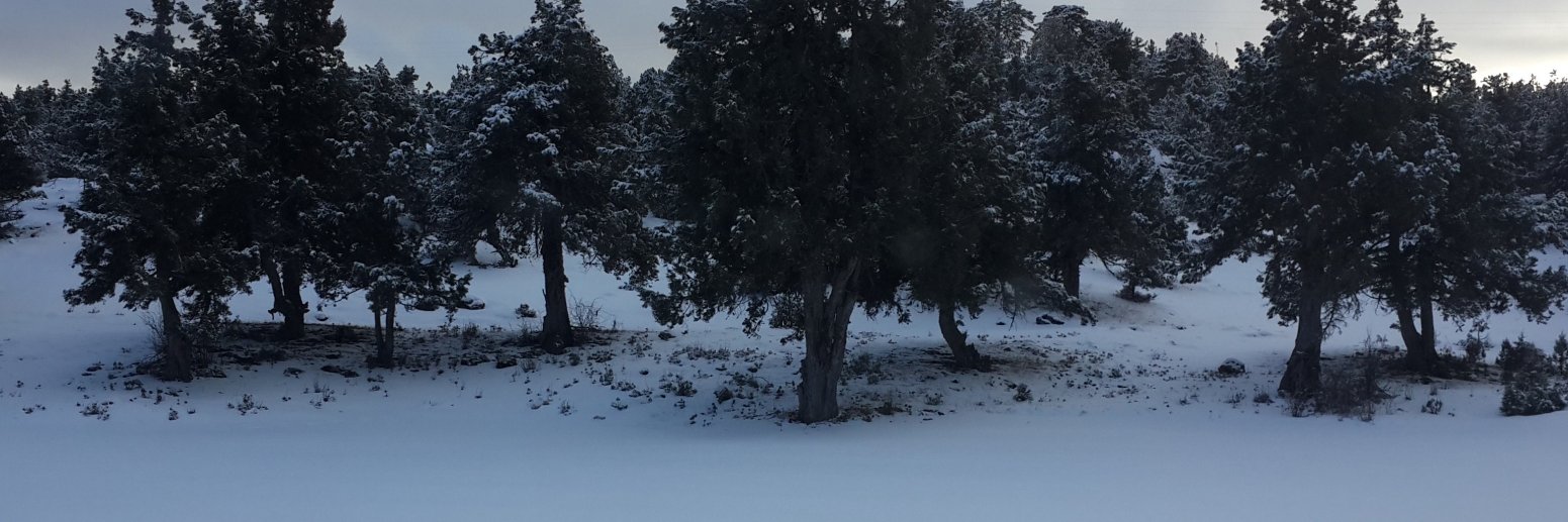 ecni18's profile banner image