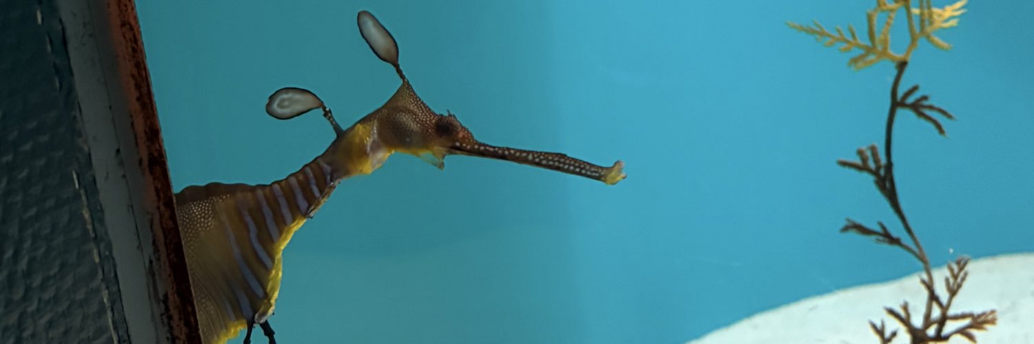 nautilus_049's profile banner image