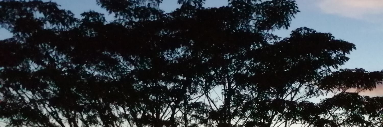 le070631's profile banner image