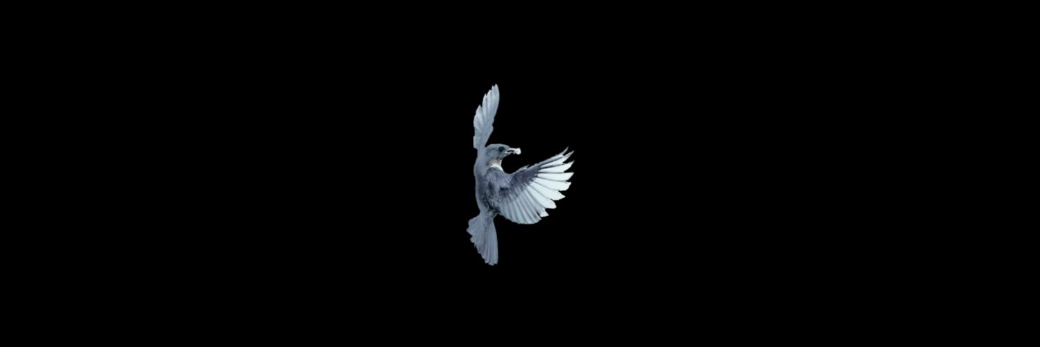 DEMONIKNOW's profile banner image