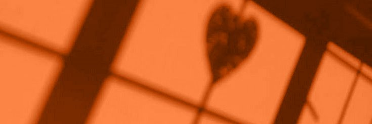 Cryogranum's profile banner image