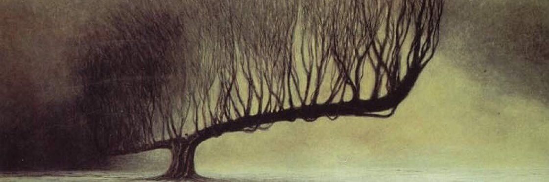 𝔸ndrew 𝕄𝕔𝔻 banner