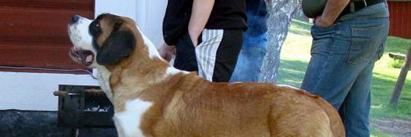 MikeEdwa229 Profile Banner