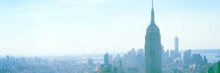 TaysTurtle13's profile banner image