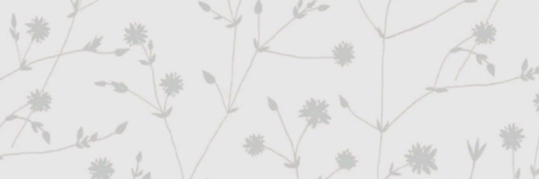 whynusantara's profile banner image