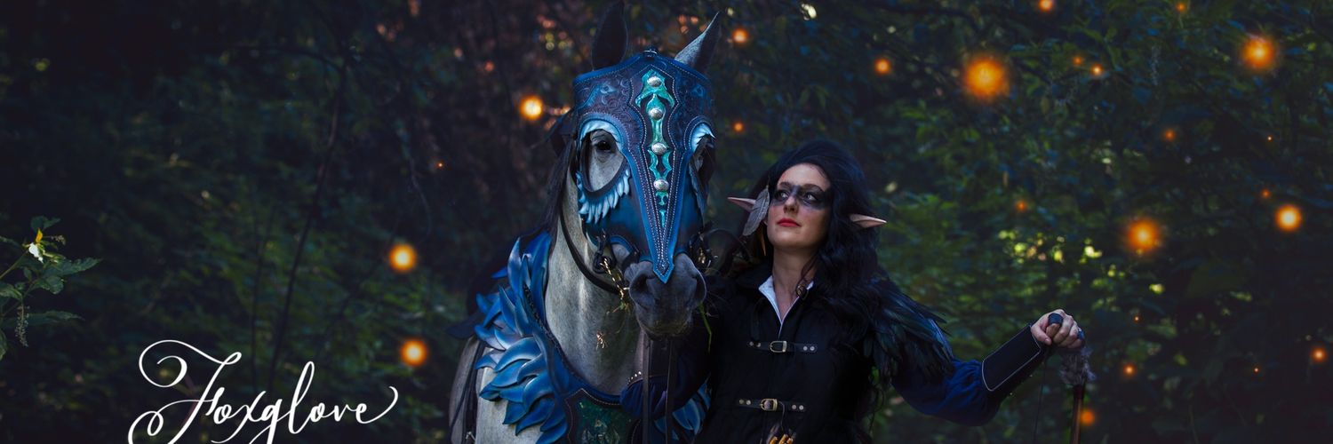 TheLadyHussar's profile banner image