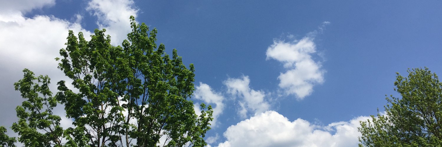 Volker Janzen banner