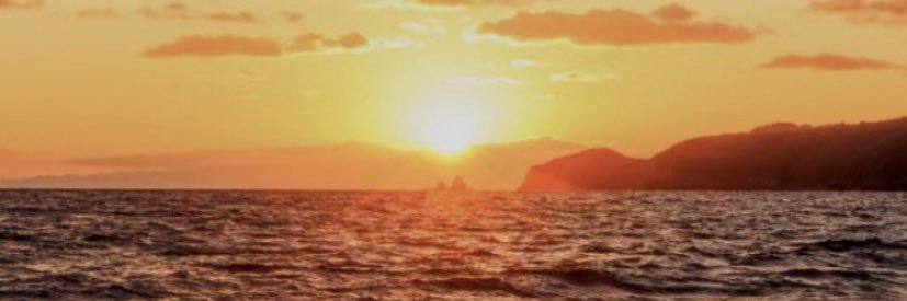 あるかる banner