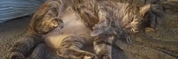 technotic_us Profile Banner