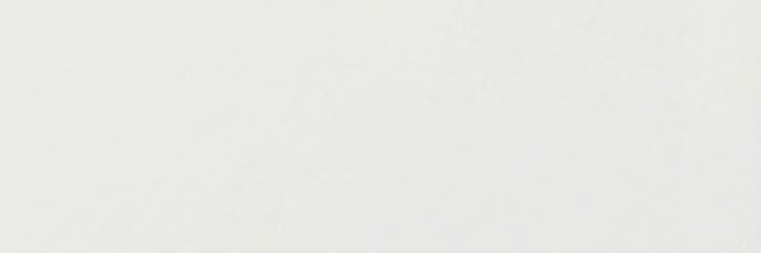 🐻‍❄️ banner