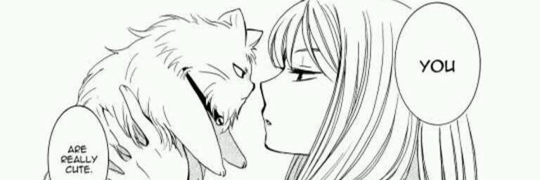 Rosse_cat's profile banner image