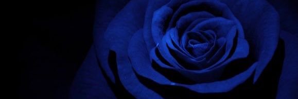 𝑬𝒓𝒘𝒊𝒏 banner