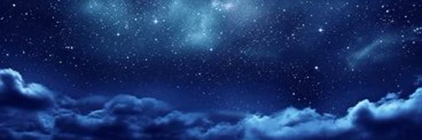 evanbuckleyy Profile Banner