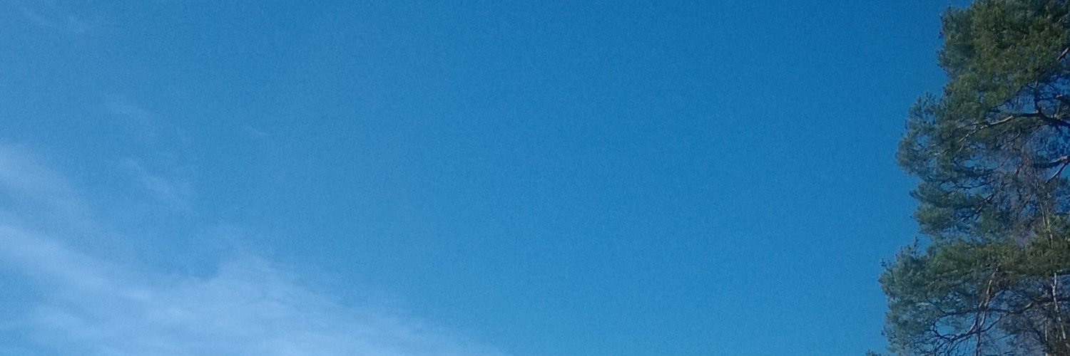 TuulaP's profile banner image