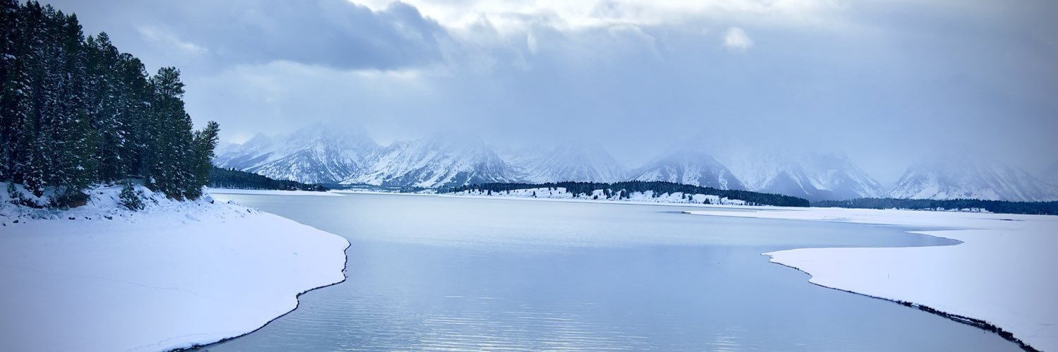 ositochango's profile banner image
