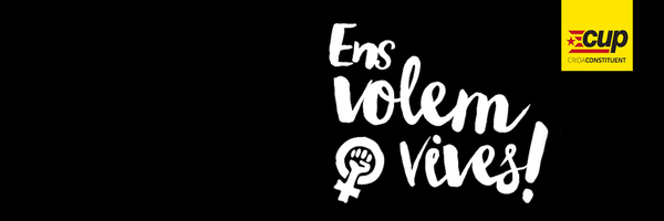 DesigRoig Profile Banner