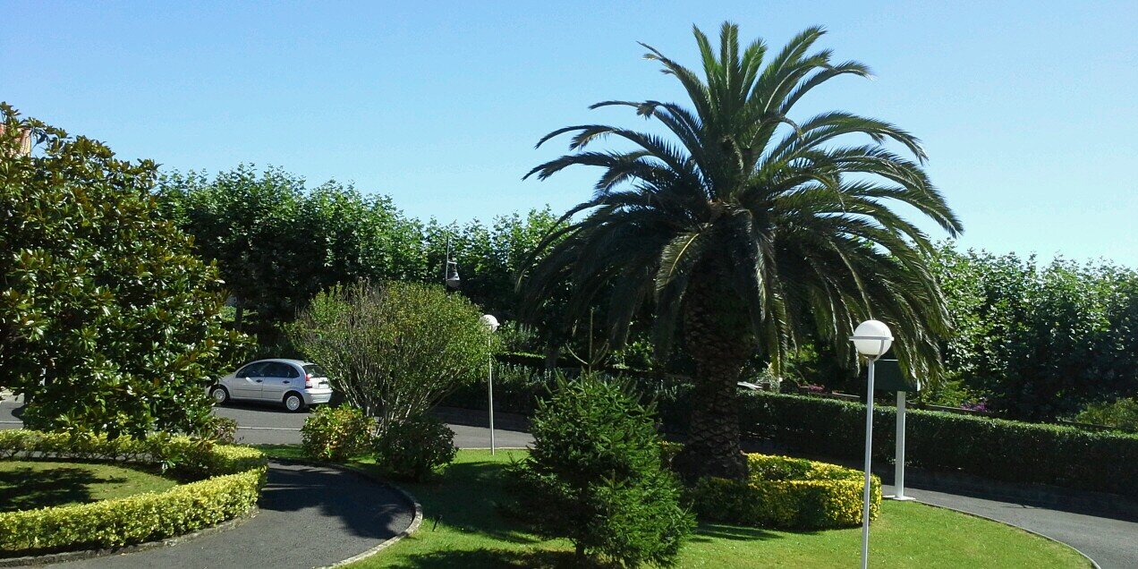 sanpedroapart's profile banner image