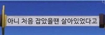 홍차's banner