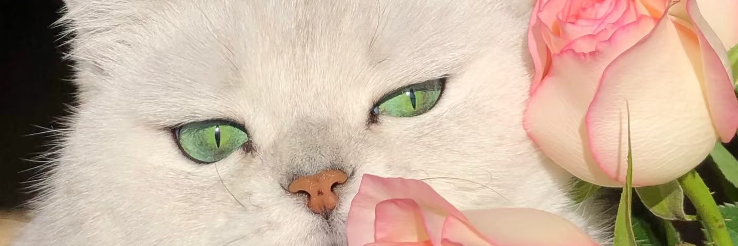 VenomVine27's profile banner image
