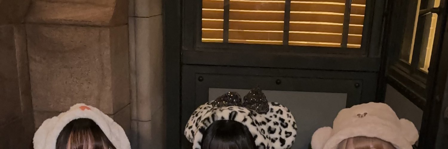 🌟サブさなぴ㌨🐼 banner