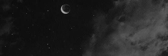 jaro 🌸🌷 banner