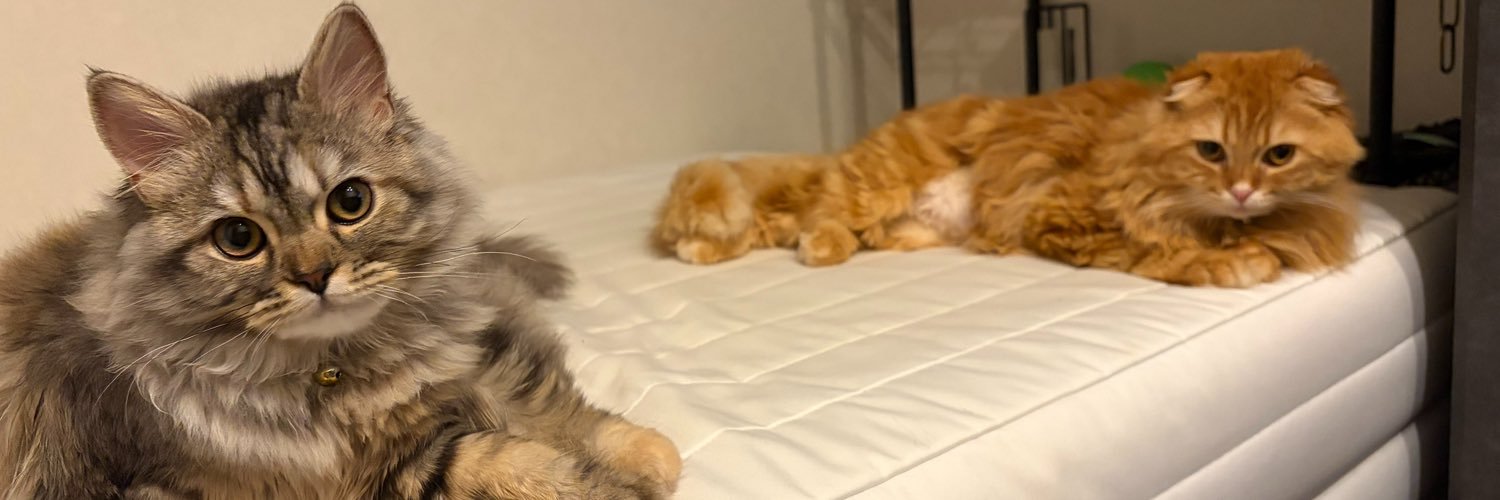 a_ma_ri_ko's profile banner image