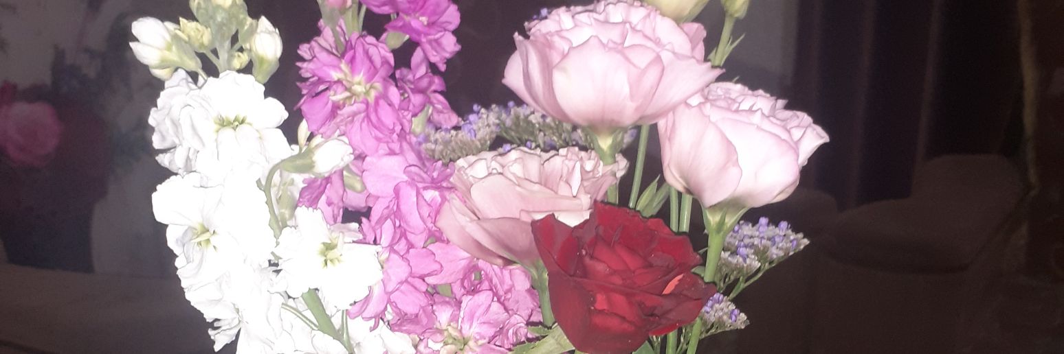 اريج نصار's banner