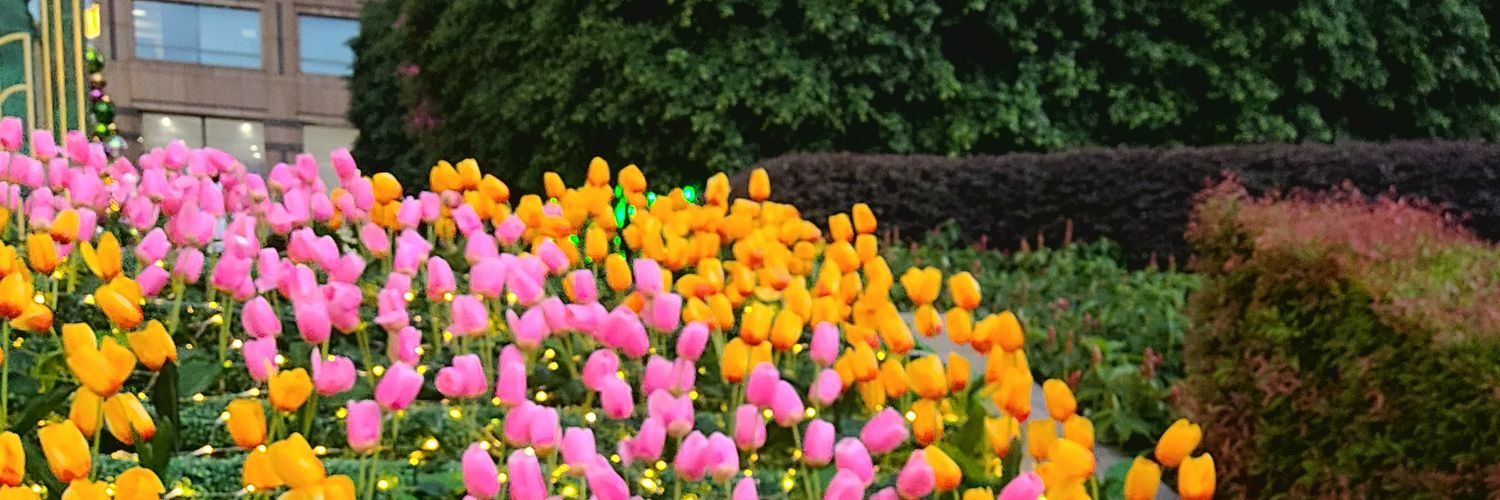Kremescabeijo's profile banner image
