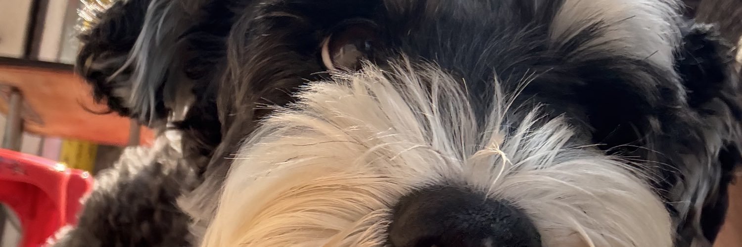 beefdogkwaihing's profile banner image