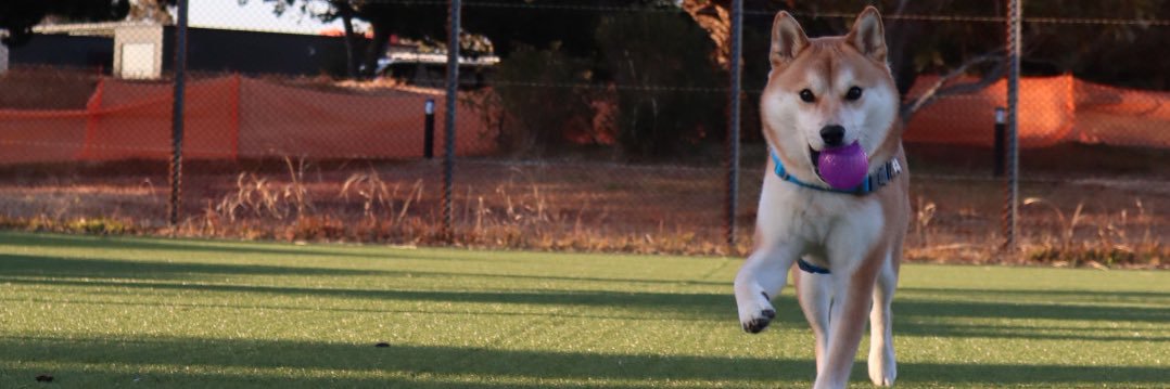 ムチムチむぅちゃん banner