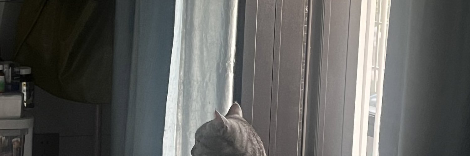 teeyweisk's profile banner image