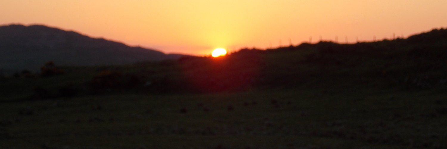 DaisyLoo0508's profile banner image