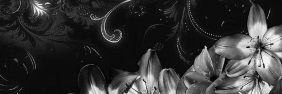 squashiee_'s profile banner image