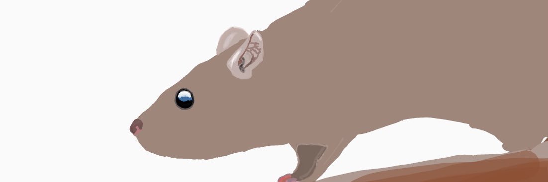 jacob6732's profile banner image