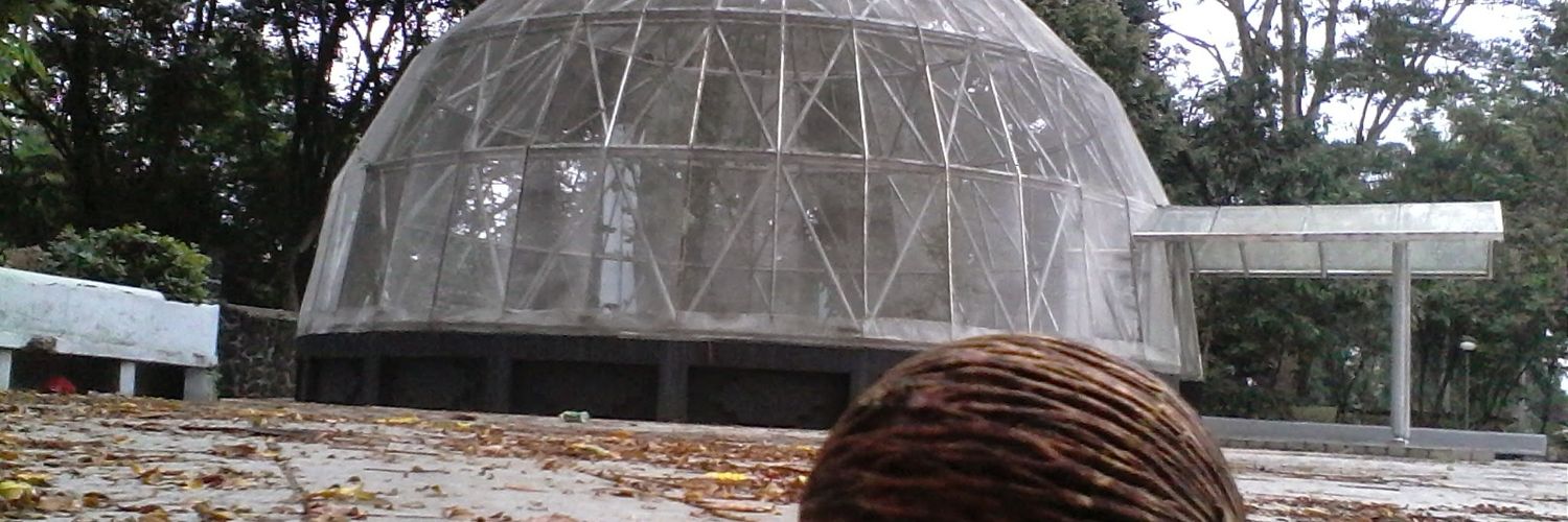 mcsolvizzy's profile banner image