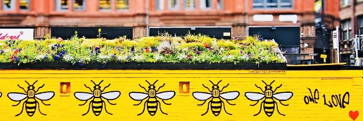 victoria ramsden banner