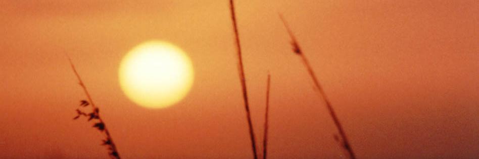 Timothy Ratzlaff banner