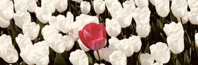 Najd_nh's profile banner image