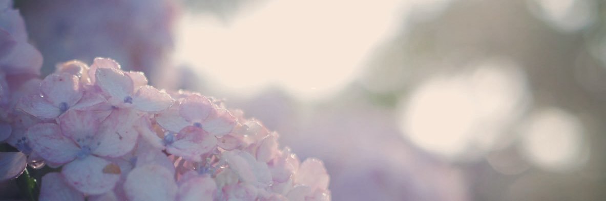ob0xtkiii's profile banner image