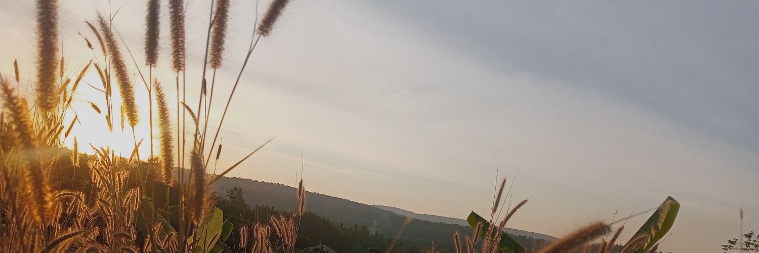 phan_metha's profile banner image