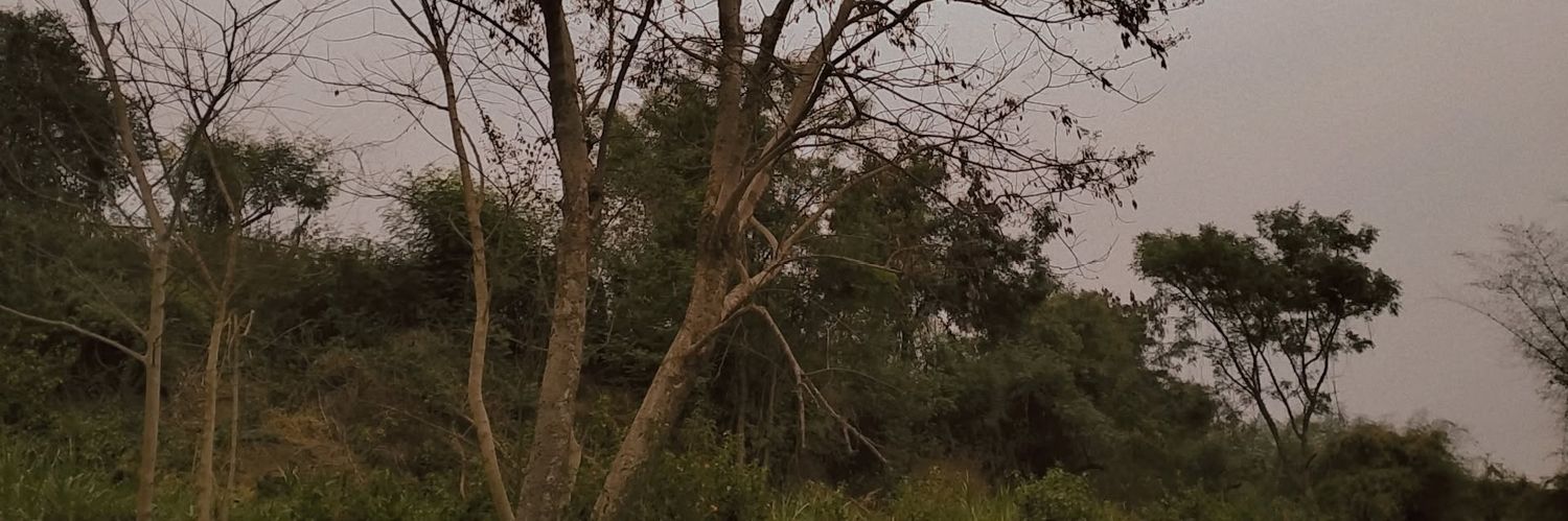 thebadibeti's profile banner image
