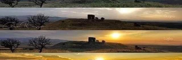 Tetra Oblivion banner