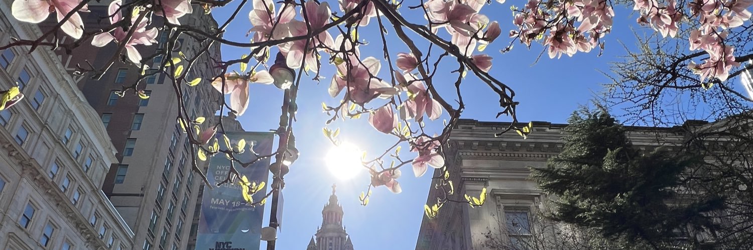 Ena (石井江奈) banner