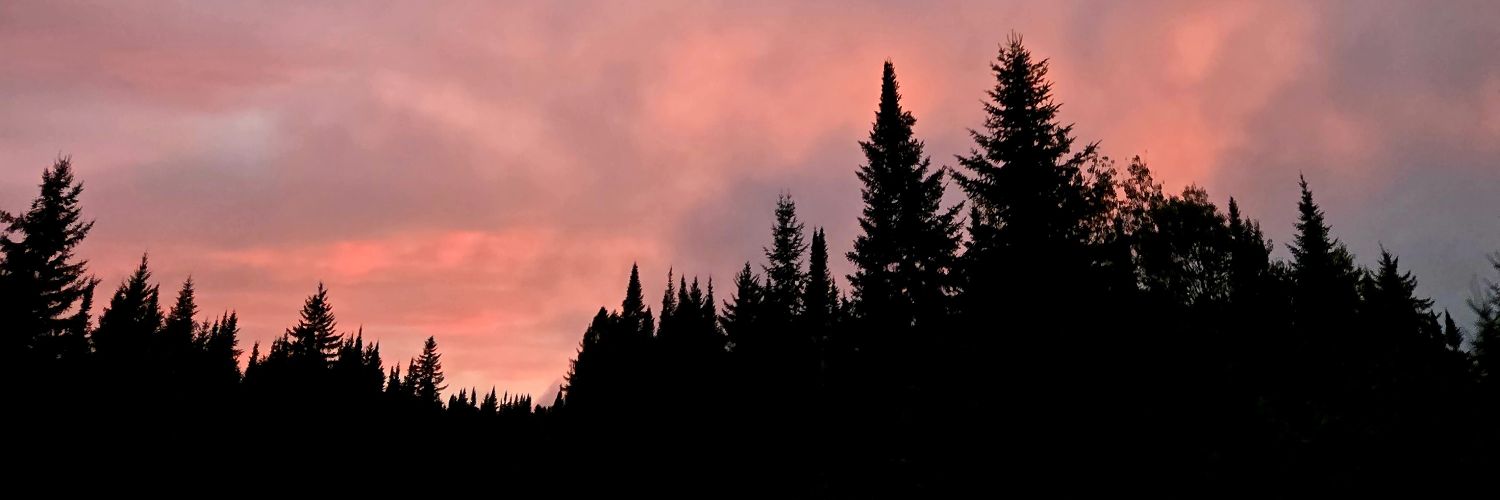 Sonnydddlight banner