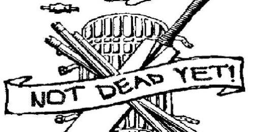Cricket_Real's profile banner image