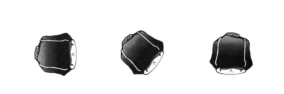 0_let_tti's profile banner image