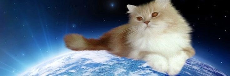 AverageJoeySmoe's profile banner image