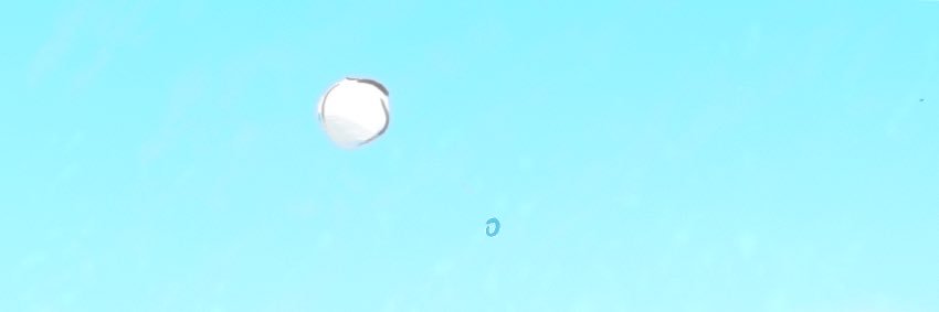 20hαO's banner