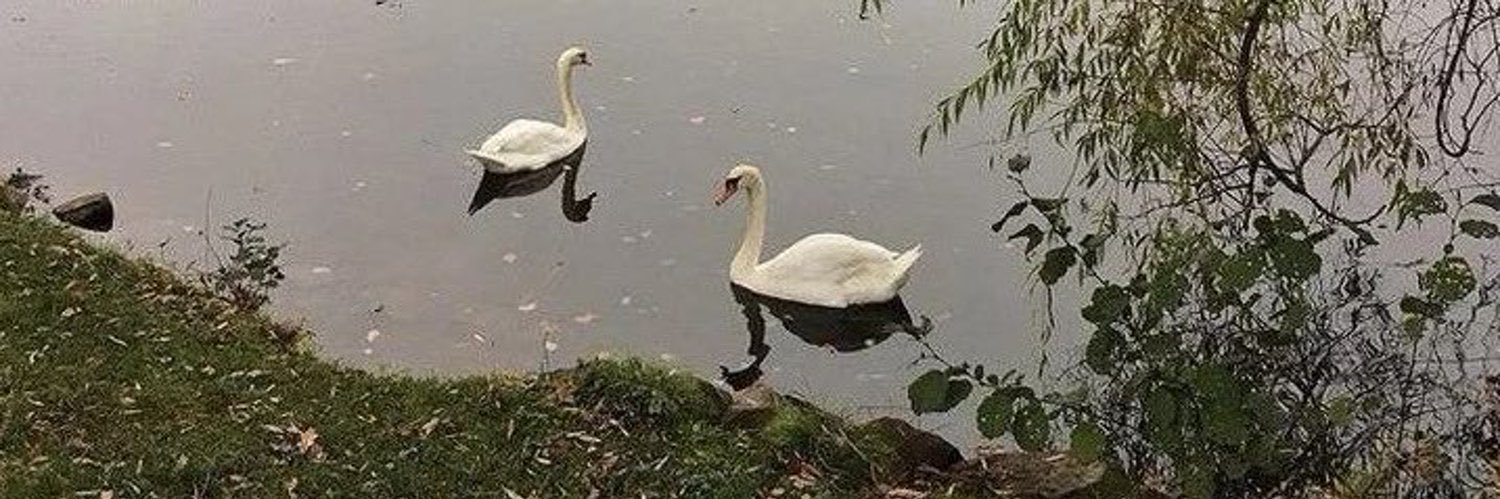 blueminglly's profile banner image